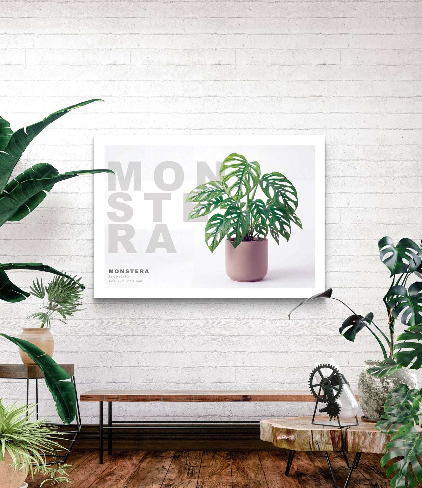 Monstera Esqueleto