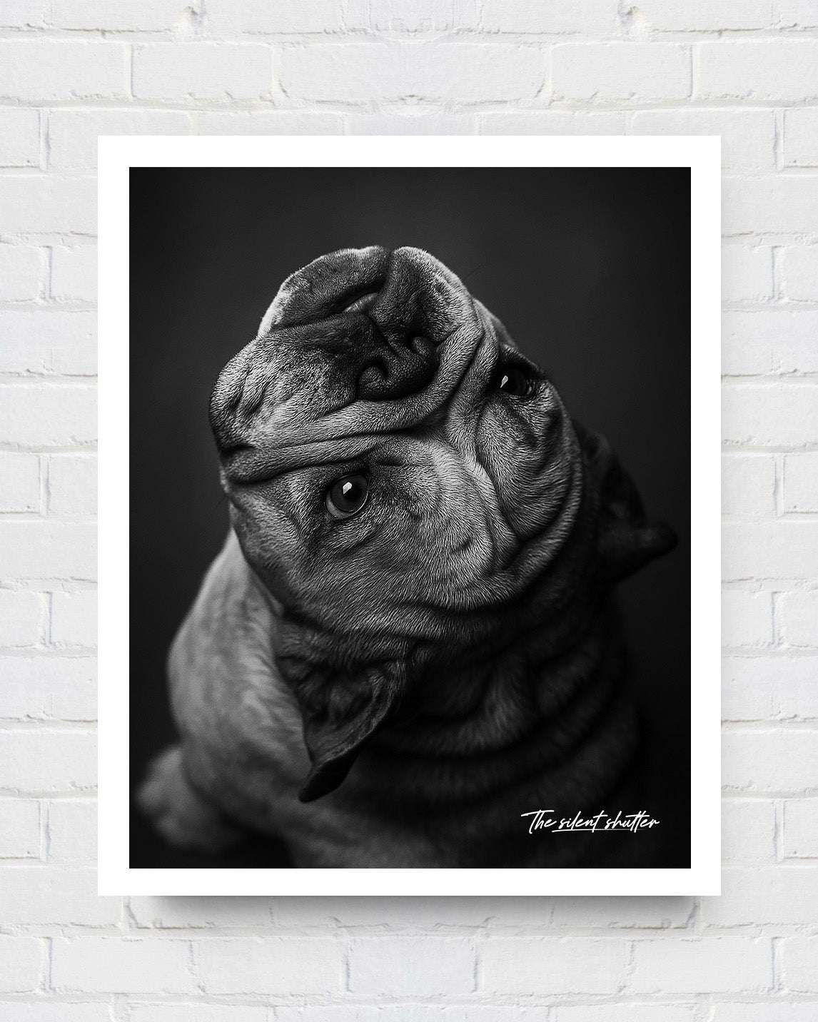 Custom Pet Portrait