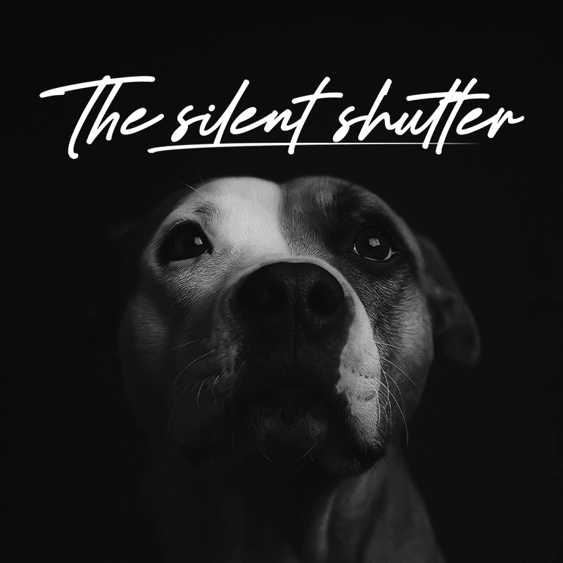Gift Card - The Silent Shutter