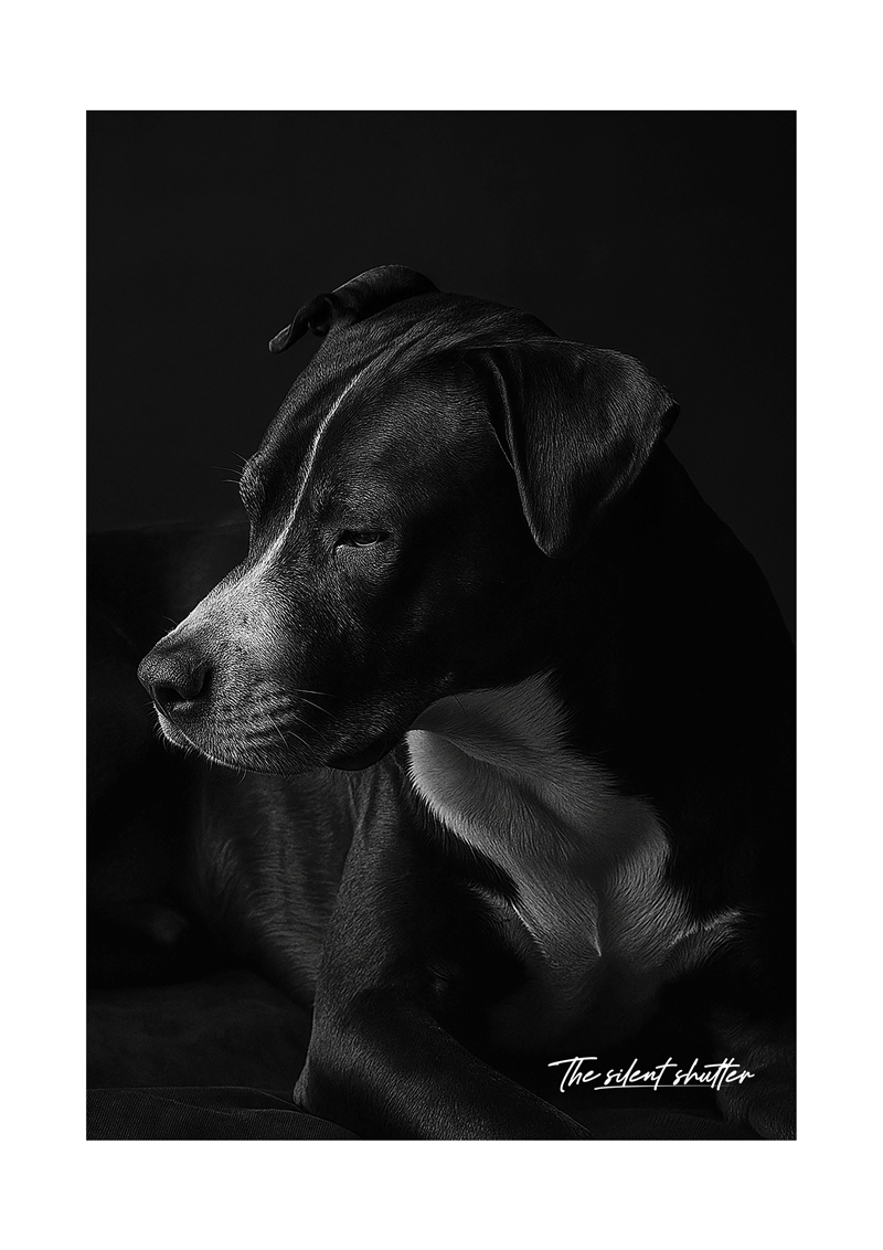 Grace in Shadow