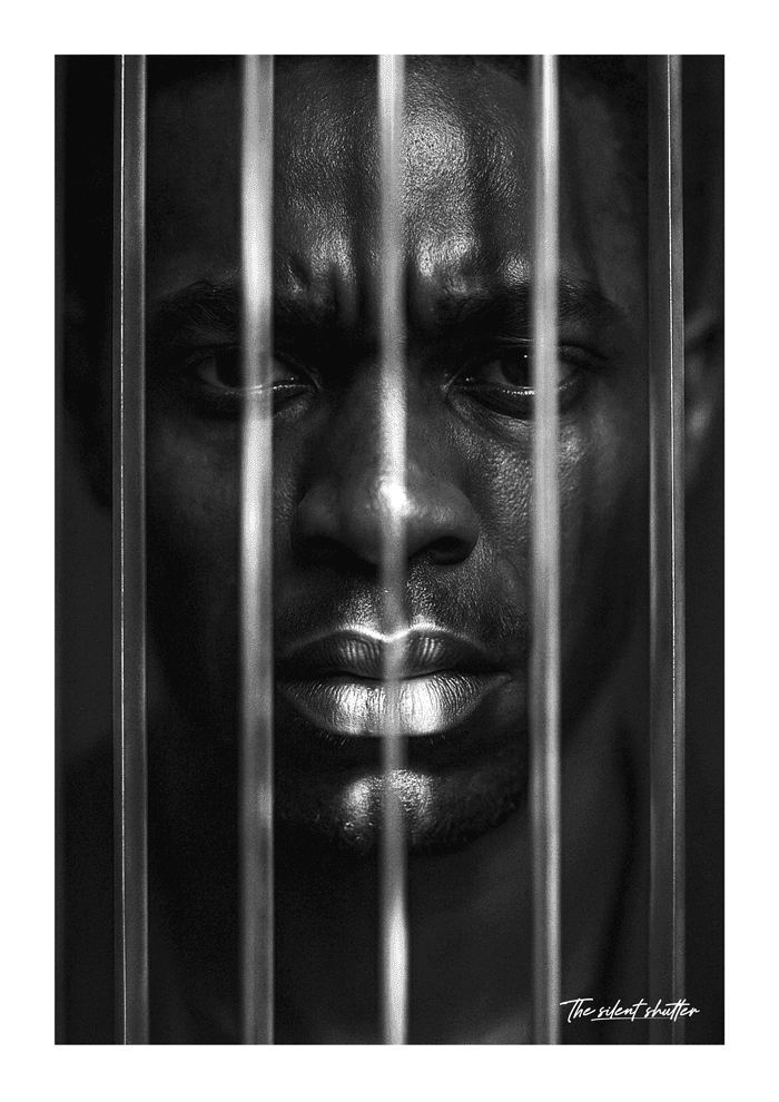 Prismatic Reflections - The Silent Shutter