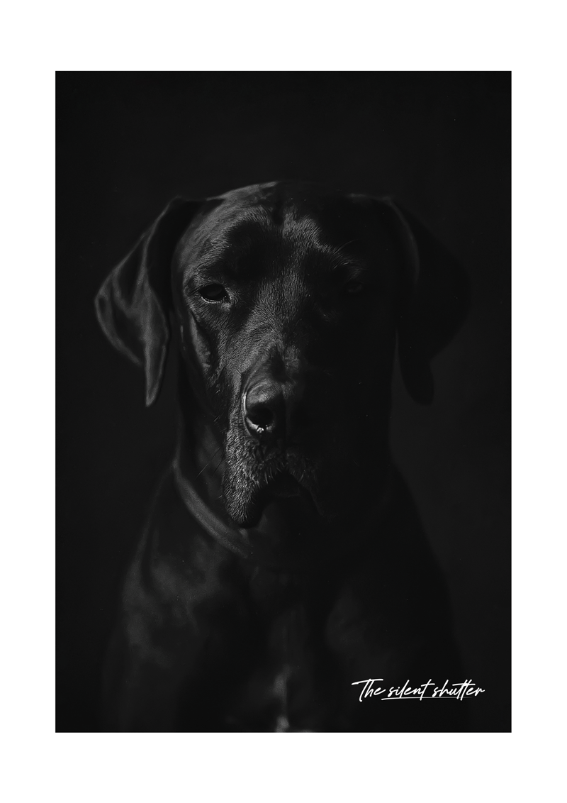 The Dane