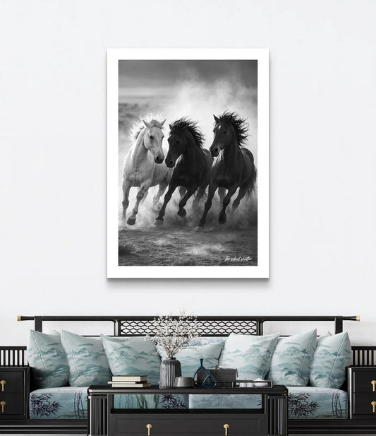 Manes and dust - The Silent Shutter