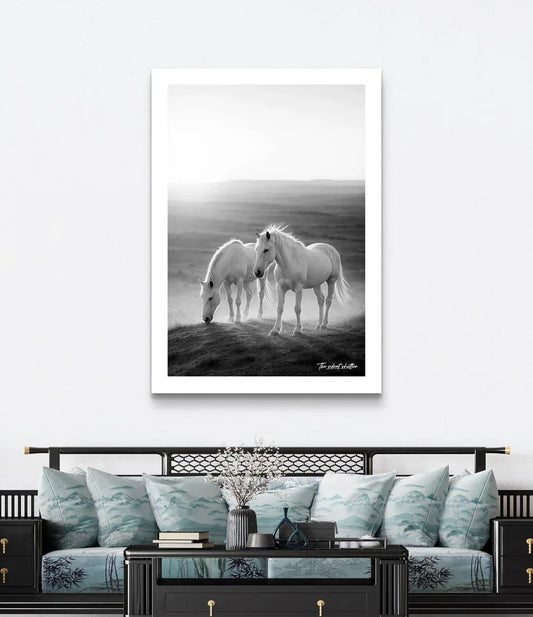 Dawn - The Silent Shutter