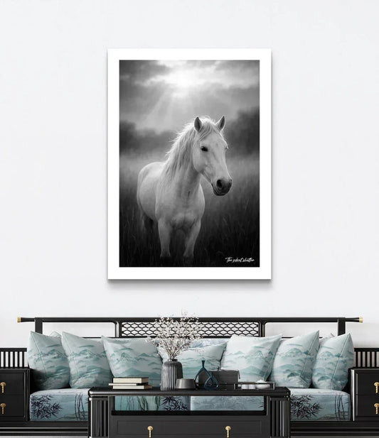 White Stallion - The Silent Shutter