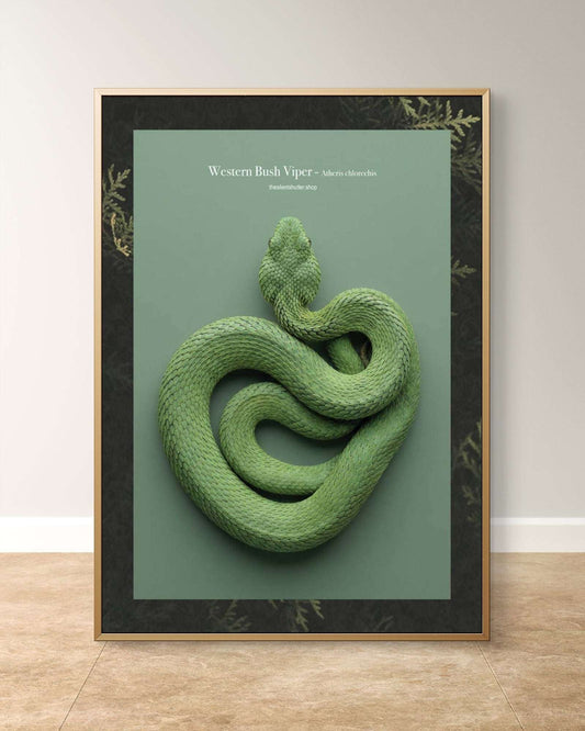 Western Bush Viper - Atheris chlorechis