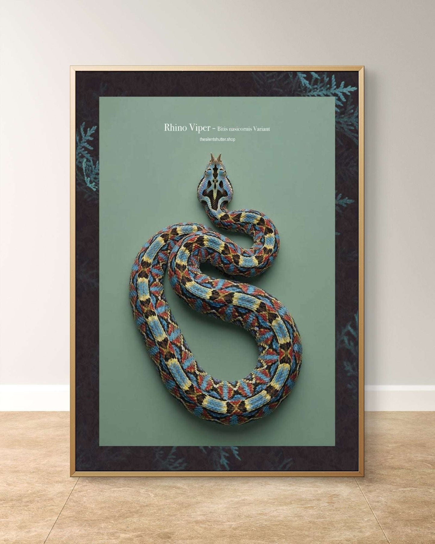 Rhino Viper - Bitis nasicornis Variant