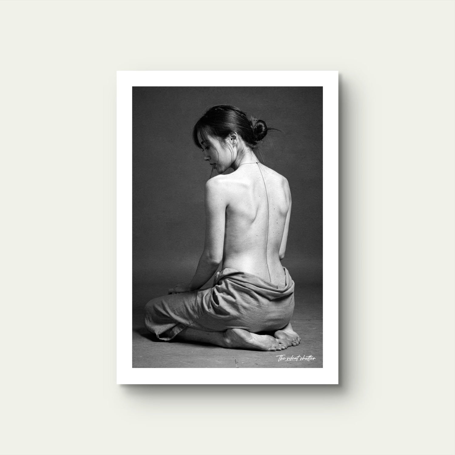 Silk & Ink - The Silent Shutter