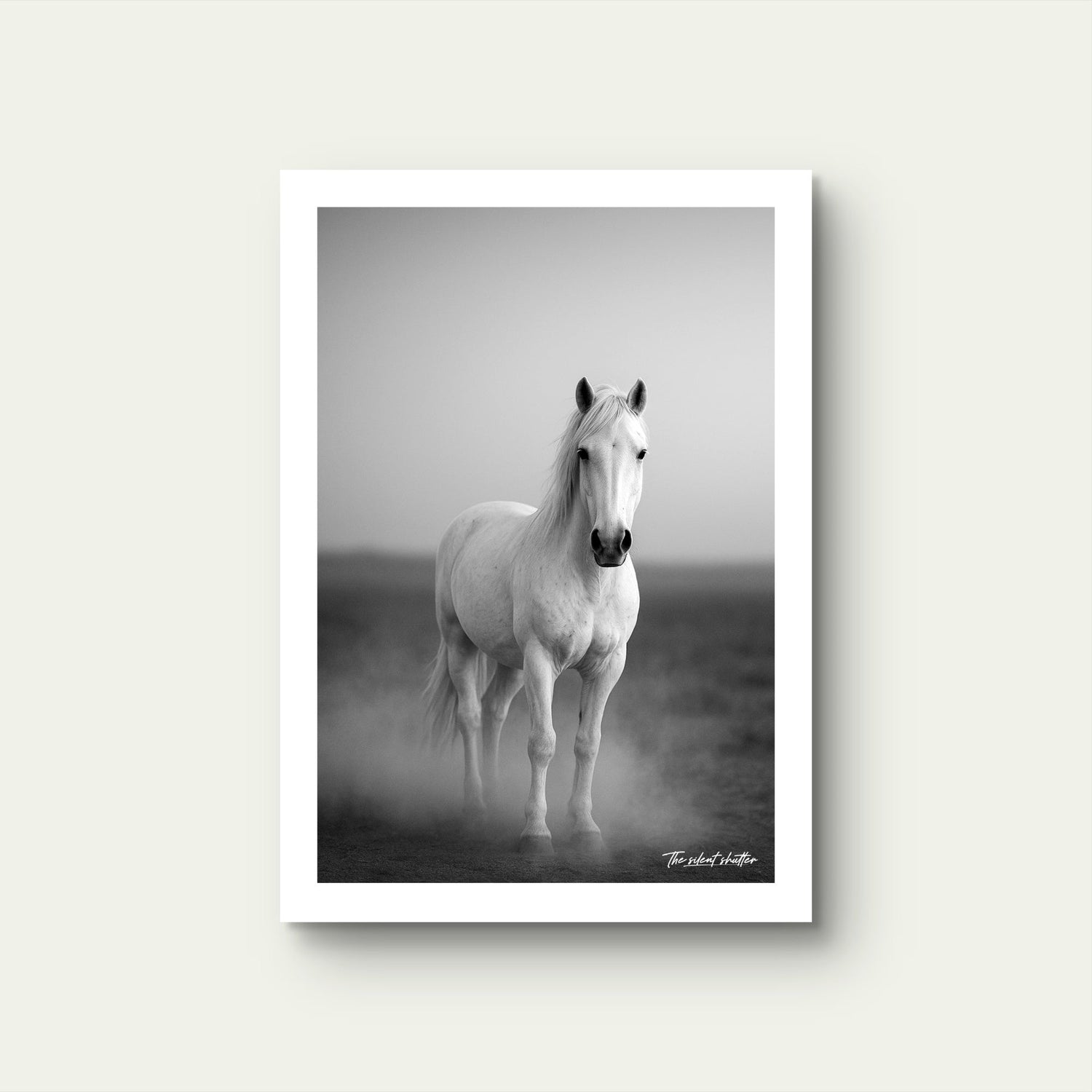 Spirit of the Plains - The Silent Shutter