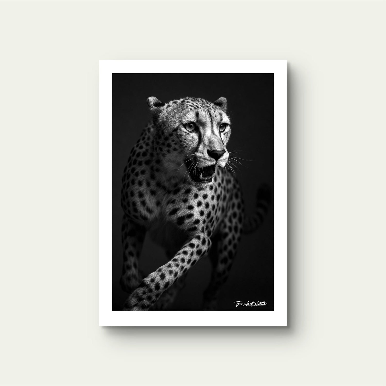 Silent Ferocity - The Silent Shutter