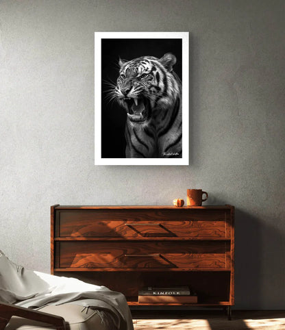 Jungle Tempest - The Silent Shutter