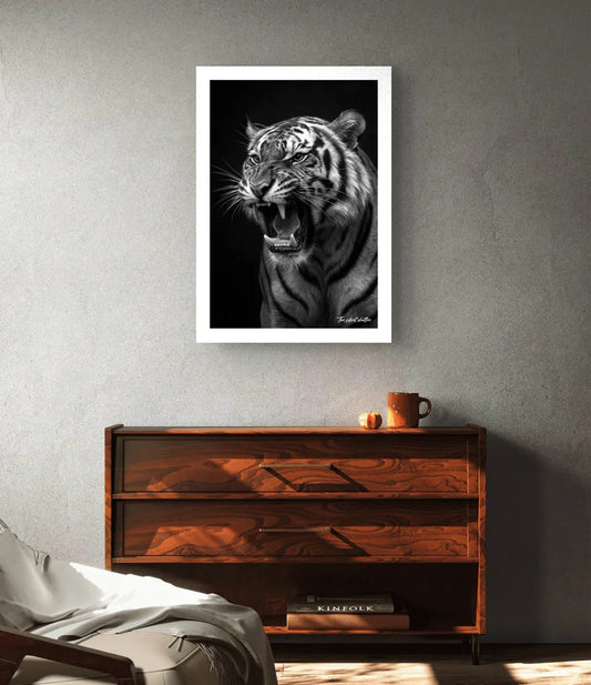 Jungle Tempest - The Silent Shutter