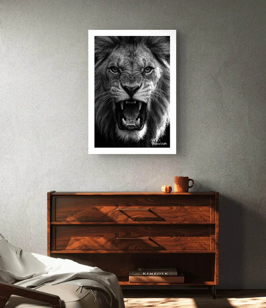 Monochrome Fury - The Silent Shutter