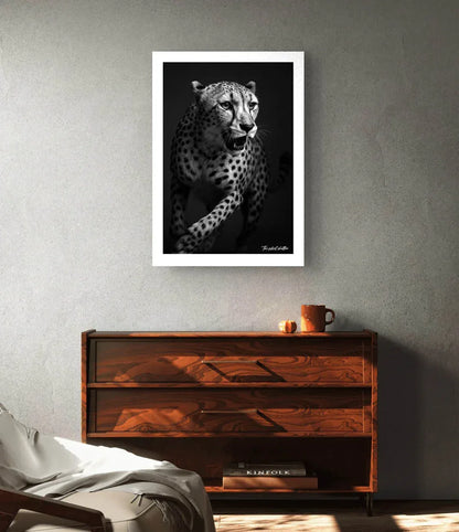 Wind Split Pursuit - The Silent Shutter