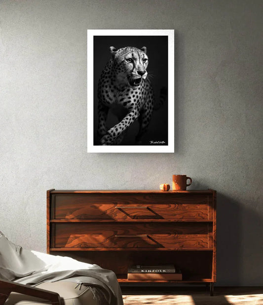 Wind Split Pursuit - The Silent Shutter