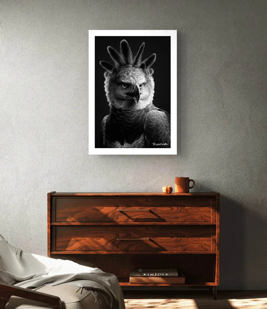 Crown of Thunder - The Silent Shutter