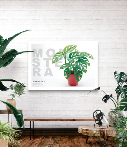 Monstera lechleriana