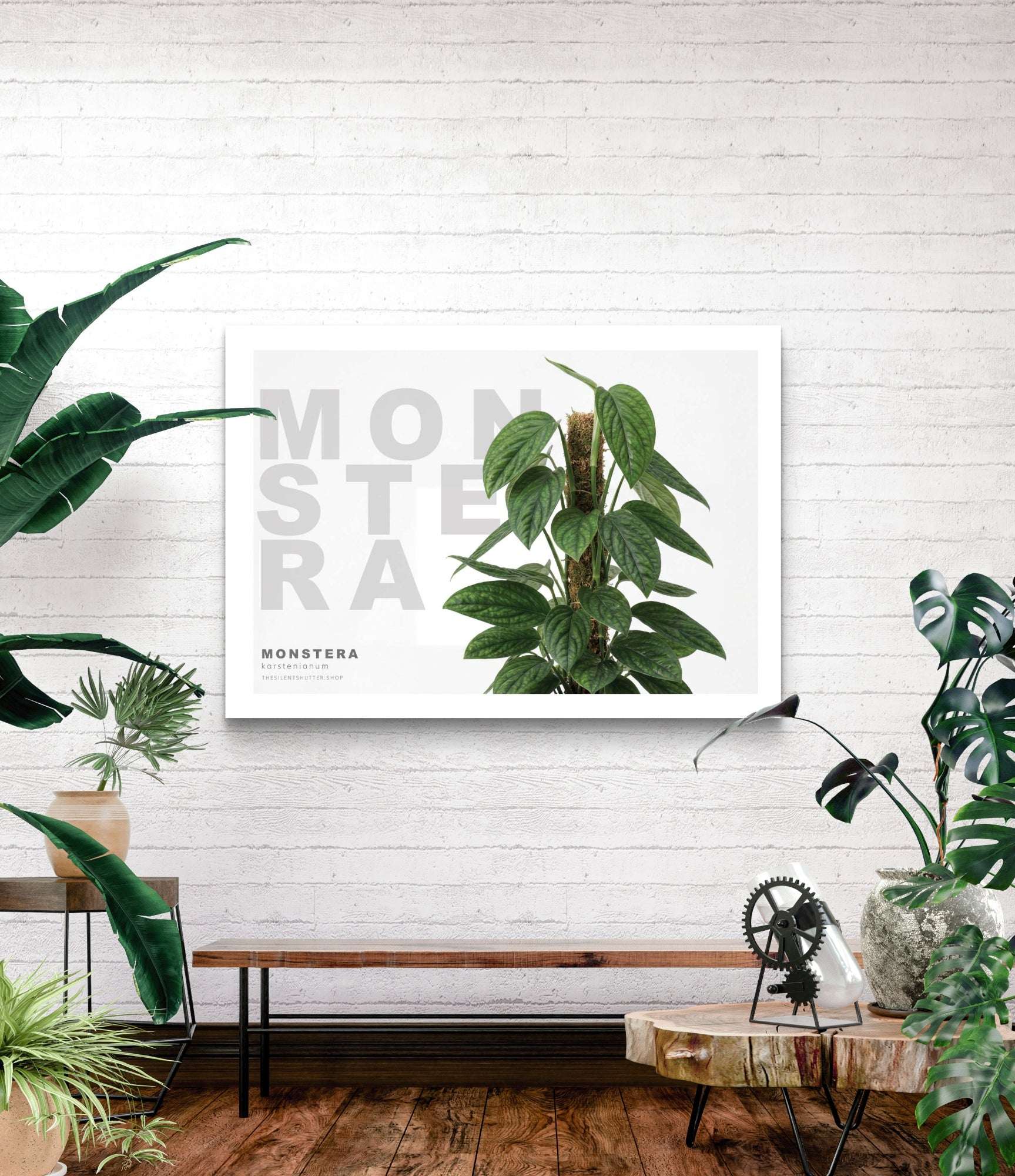Monstera karstenianum