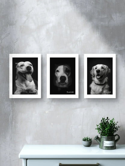 Custom Pet Portrait - The Silent Shutter