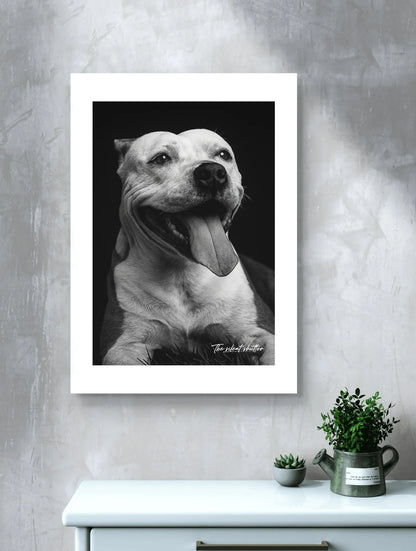 Custom Pet Portrait - The Silent Shutter