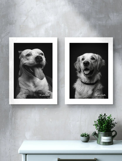 Custom Pet Portrait - The Silent Shutter