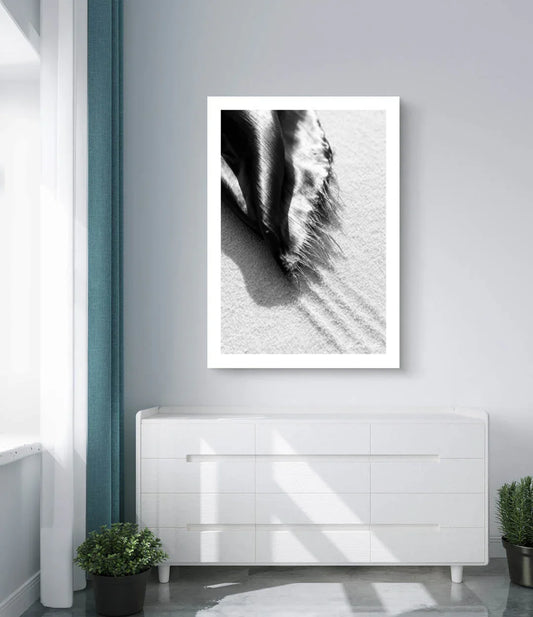 Drapped Dune - The Silent Shutter