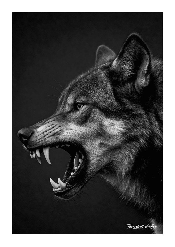 Ashen Snarl - The Silent Shutter