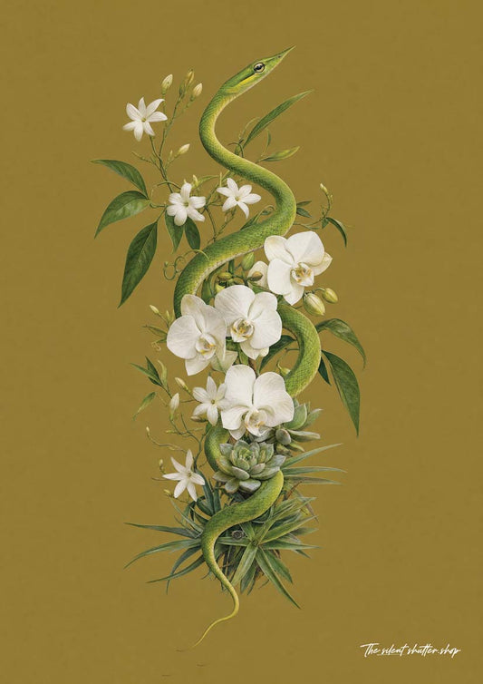 Asian Vine Snake
