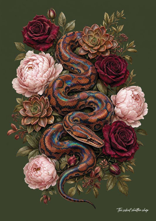Brazilian Rainbow Boa