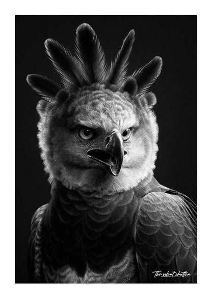 Crown of Thunder - The Silent Shutter