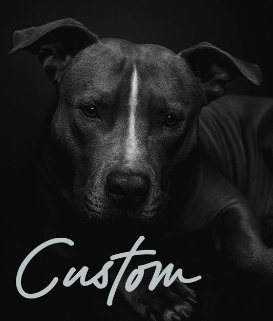 Custom Pet Portrait
