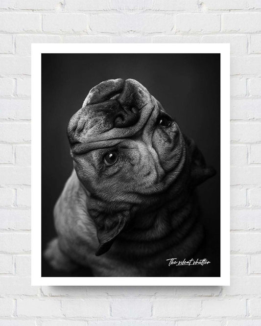 Custom Pet Portrait