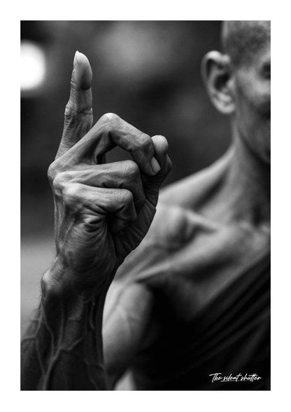 Diamond Finger - The Silent Shutter