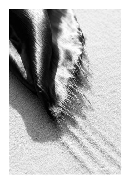 Drapped Dune - The Silent Shutter