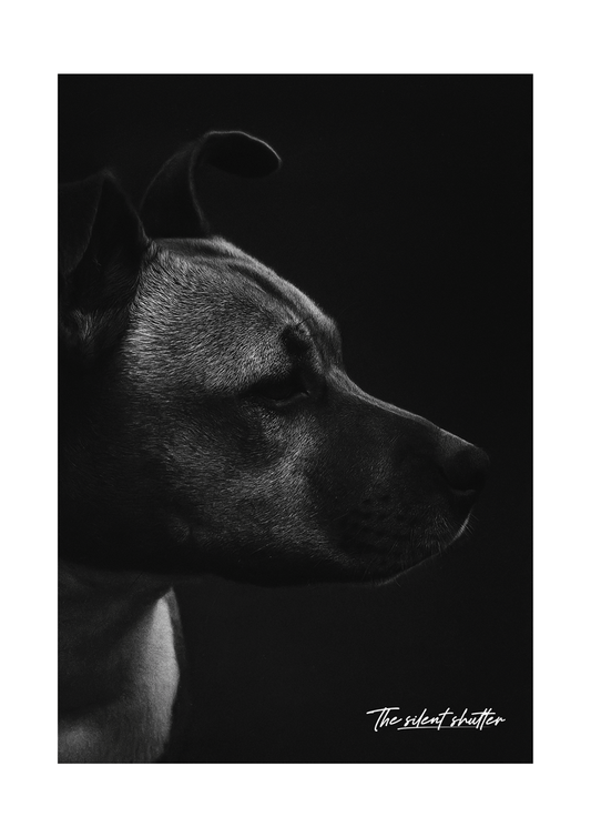 Focus