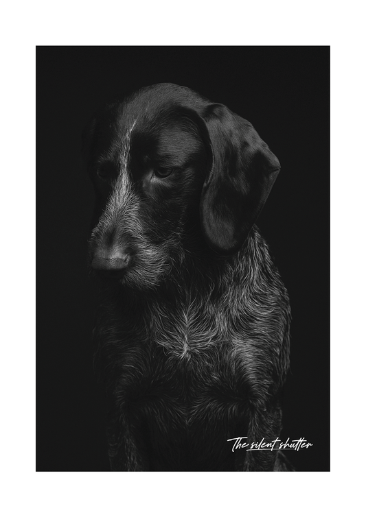 German Shorthaired Pointer