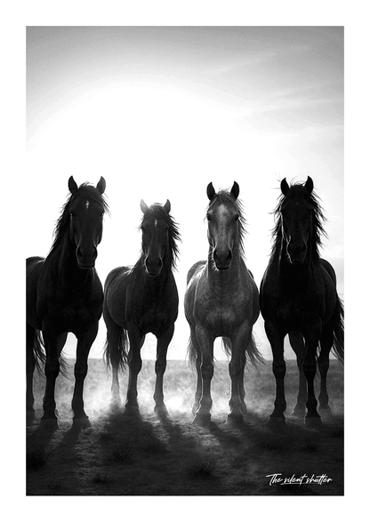 Judgement - The Silent Shutter