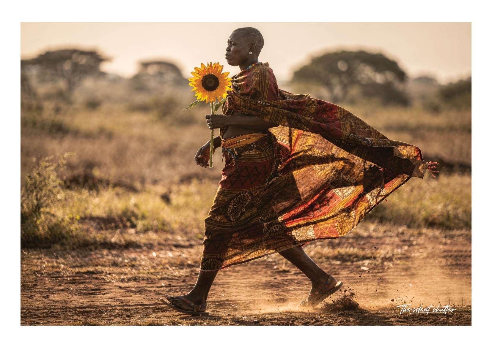 Kikuyu Sun Step