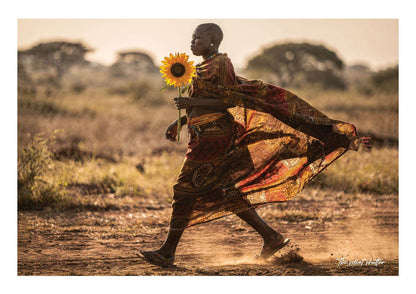 Kikuyu Sun Step