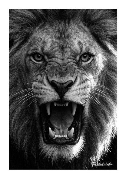 Monochrome Fury - The Silent Shutter