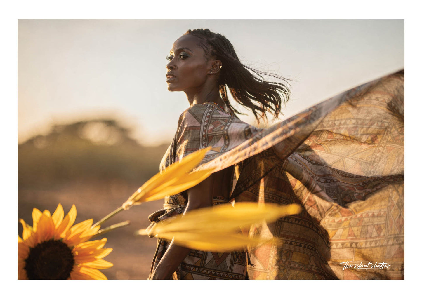 Ndebele Bright Bloom