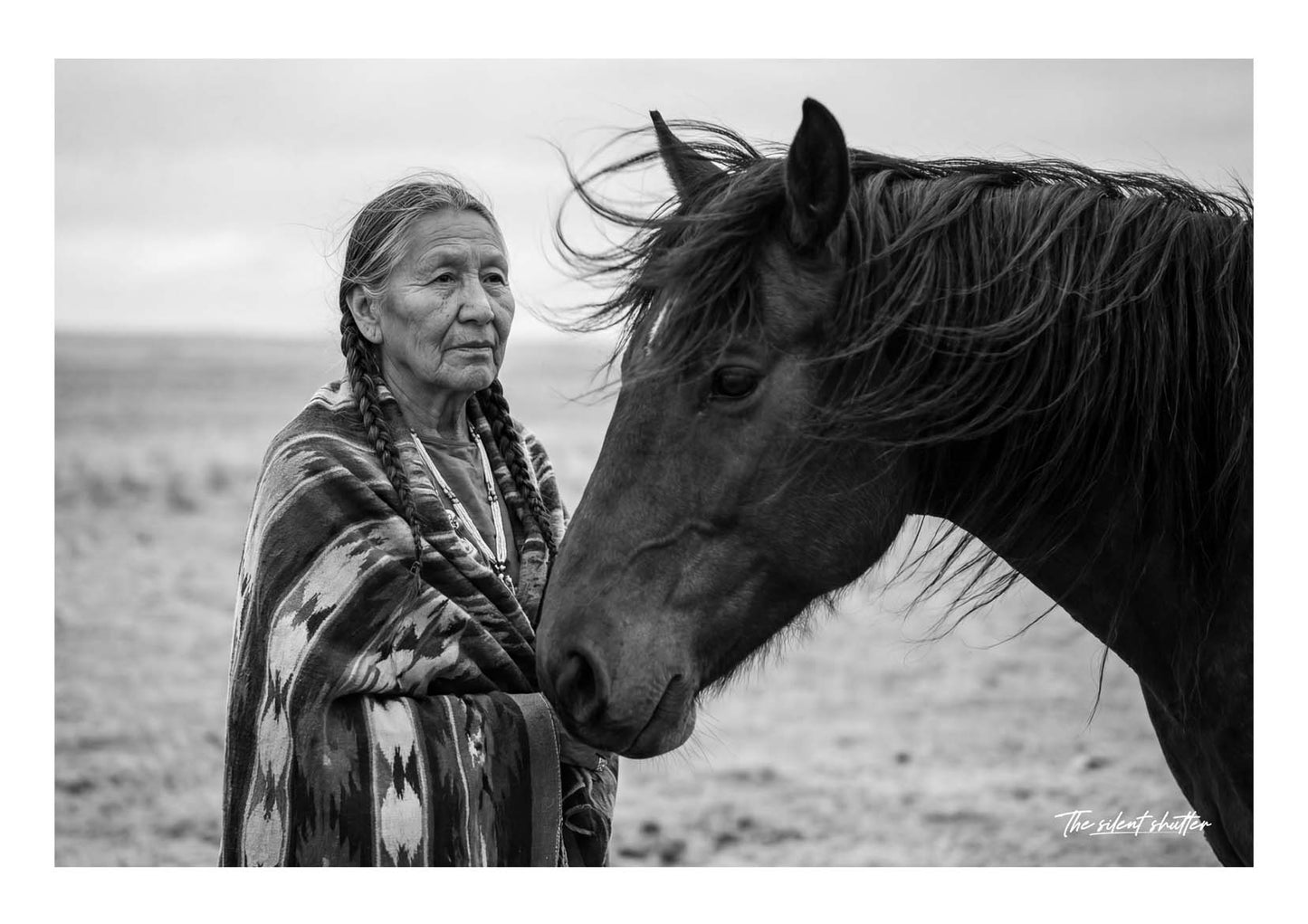 Painted Horse, Painted Soul (Crow)