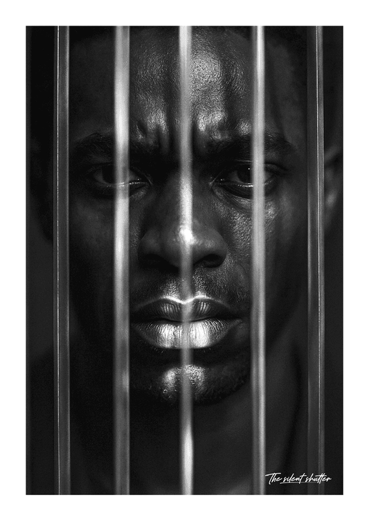 Prismatic Reflections - The Silent Shutter