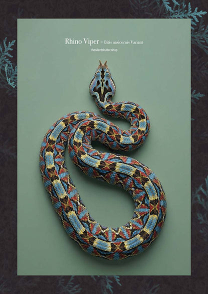 Rhino Viper - Bitis nasicornis Variant