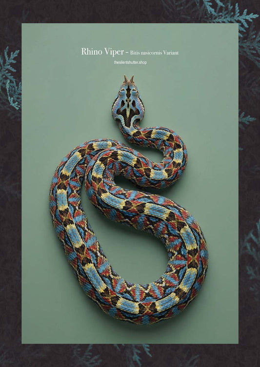 Rhino Viper - Bitis nasicornis Variant