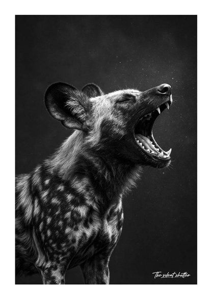 Savanna Echo - The Silent Shutter