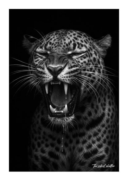 Silent Ferocity - The Silent Shutter