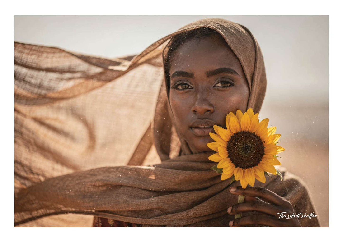 Somali Wind Grace