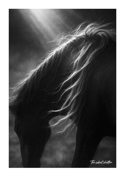 Stallion Splendor - The Silent Shutter
