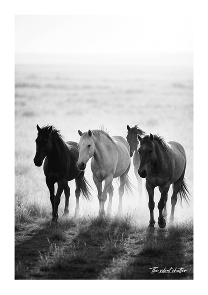 Sun baked grasslands - The Silent Shutter